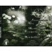 DRAGOBRATH - Fra Myrer Taake... CD DRAGOBRATH - Fra Myrer Taake... CD